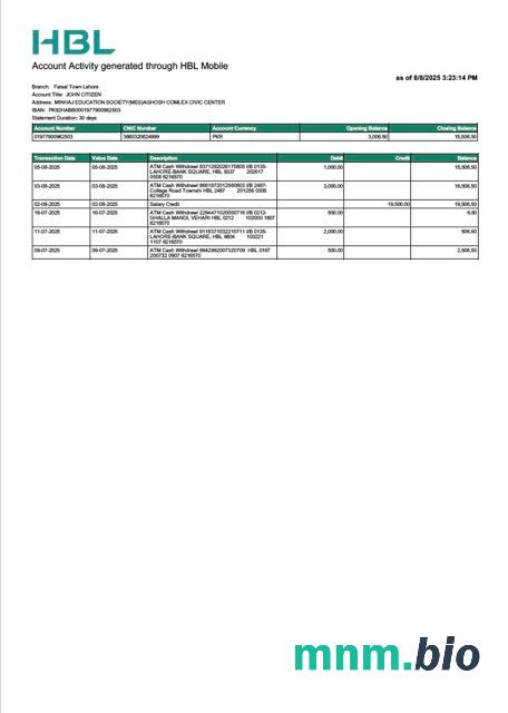 Szablon wyciągu bankowego Pakistan Faysal w programie Word i PDF